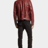 Black Bull Cool Guy-Jeans Black Bull Cool Guy-Jeans