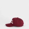 D2 College-baseballpet D2 College-baseballpet